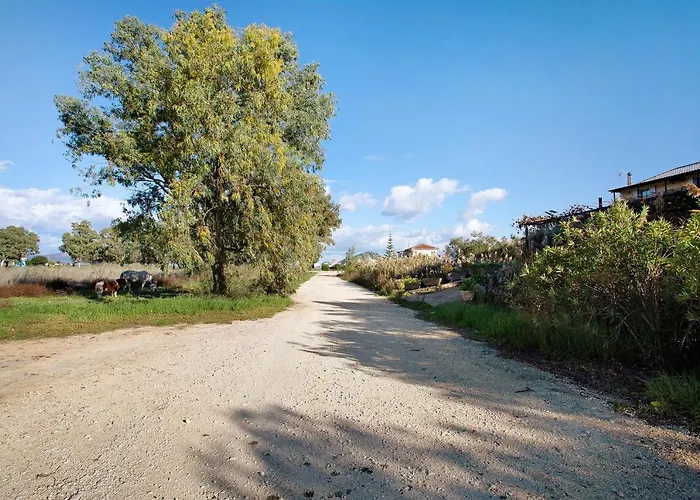 Dolphin Sea View 12 아파트